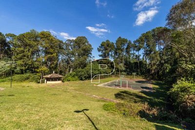 Terreno, 4 hectares - Foto 3