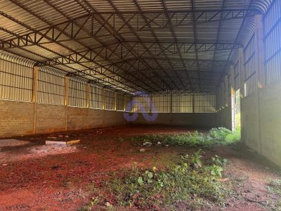 Depósito-Galpão, 1000 m² - Foto 5