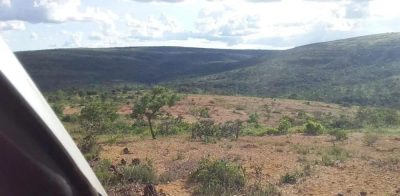 Fazenda - Foto 3