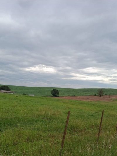 Chácara, 1 quarto, 2 hectares - Foto 4
