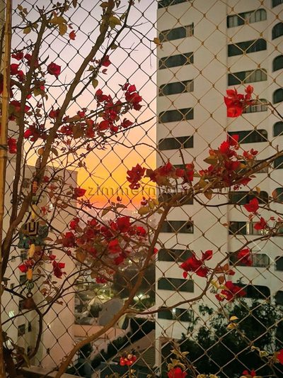 Apartamento, 3 quartos, 96 m² - Foto 2