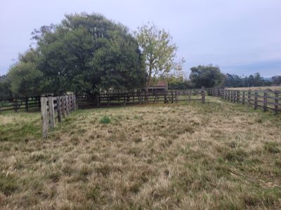 Fazenda - Foto 2