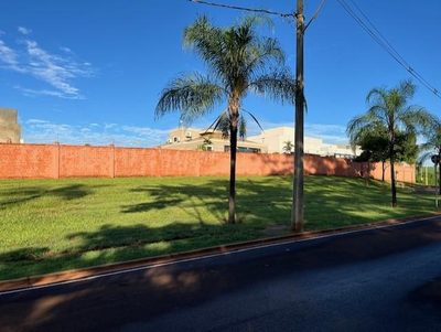 Terreno, 250 m² - Foto 3