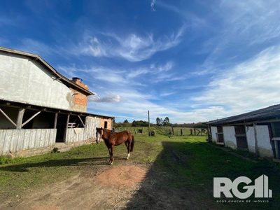 Sítio, 1 quarto, 19999 m² - Foto 5