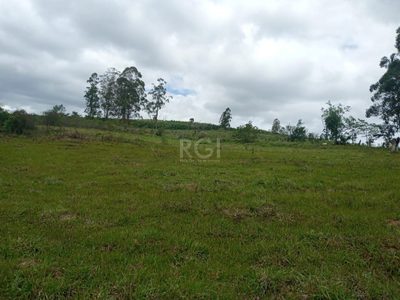 Sítio, 3 quartos, 74 m² - Foto 4