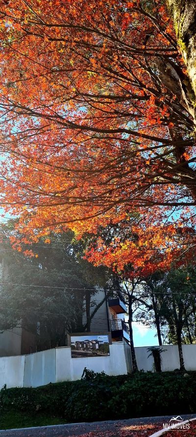 Apartamento, 3 quartos, 129 m² - Foto 5