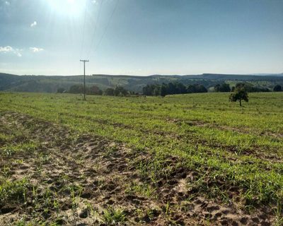 Fazenda, 138 m² - Foto 2