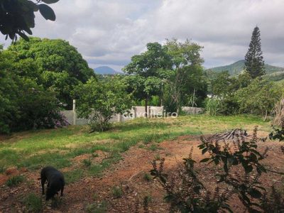 Terreno, 570 m² - Foto 3