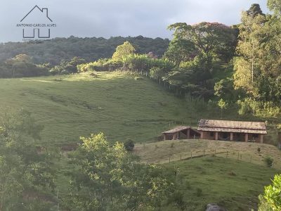 Sítio, 3 quartos, 4 hectares - Foto 4