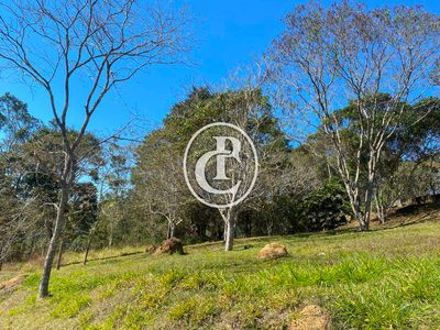Sítio, 5 quartos, 2 hectares - Foto 3