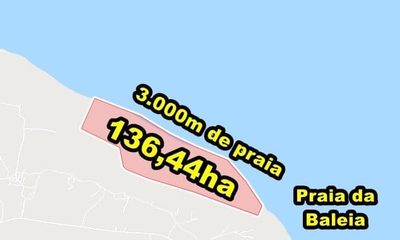 Terreno, 5000 m² - Foto 2
