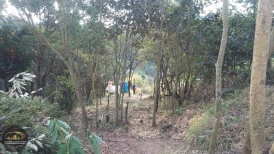 Terreno, 570 m² - Foto 5