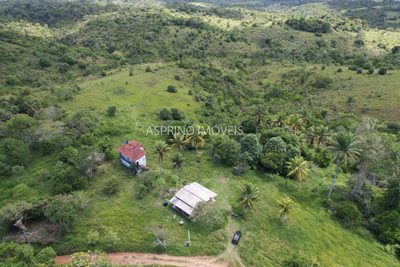 Fazenda, 45 hectares - Foto 3