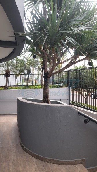 Apartamento - Foto 3