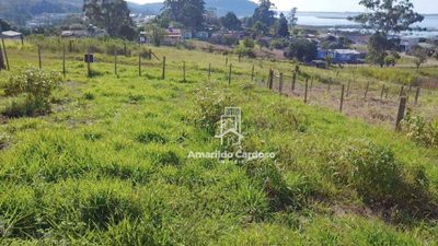 Terreno, 401 m² - Foto 4