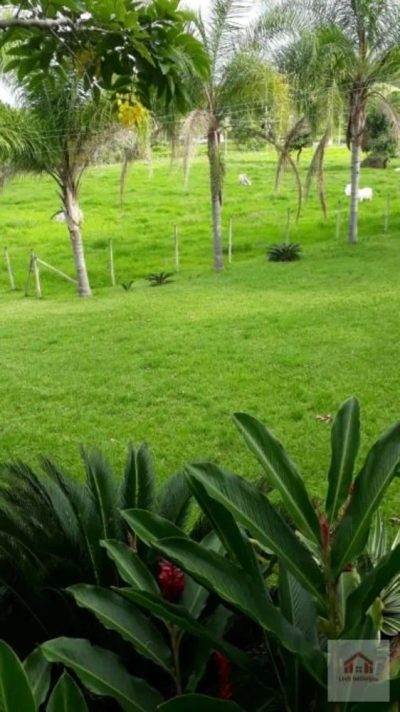 Terreno, 8 hectares - Foto 2