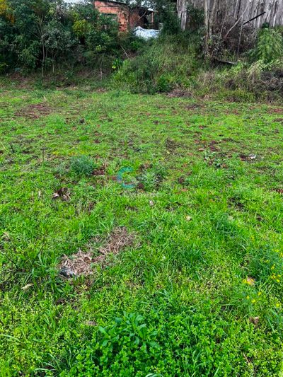 Terreno - Foto 5