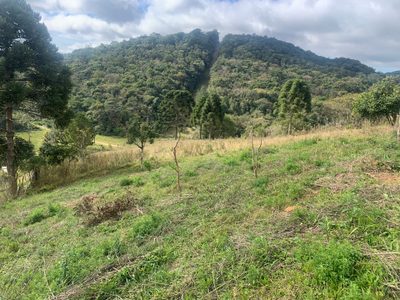 Sítio, 2 quartos, 43 hectares - Foto 1