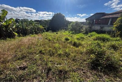 Terreno, 1000 m² - Foto 3