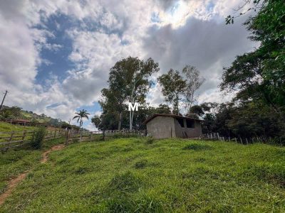 Sítio, 4 quartos, 11 hectares - Foto 2