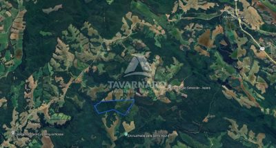 Terreno, 365 hectares - Foto 3