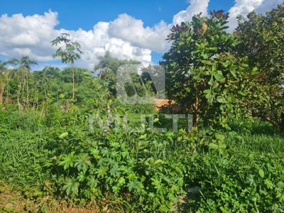 Terreno, 1000 m² - Foto 1
