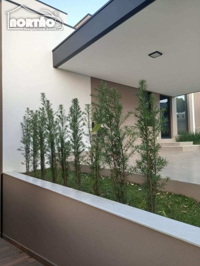 Casa, 5 quartos, 258 m² - Foto 5