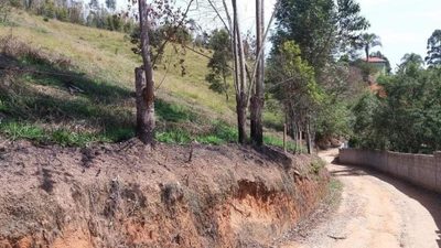 Terreno, 2 hectares - Foto 3
