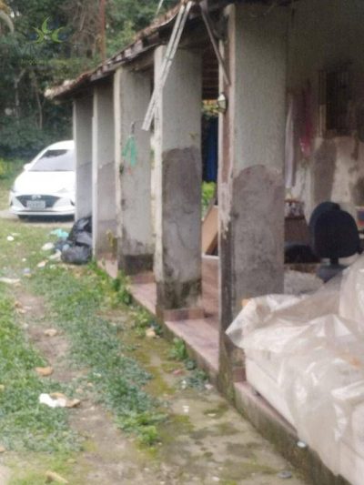 Chácara, 3 quartos, 5793 m² - Foto 4