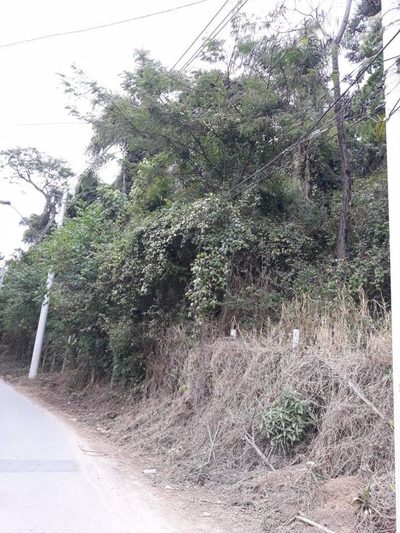 Terreno, 6000 m² - Foto 2