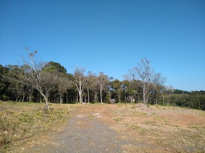 Chácara, 1 hectares - Foto 5