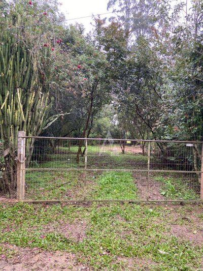 Terreno, 1 hectares - Foto 1