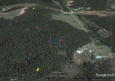 Terreno, 121400 m² - Foto 4