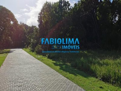 Terreno, 600 m² - Foto 4