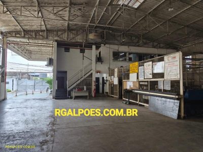 Depósito-Galpão, 2000 m² - Foto 3