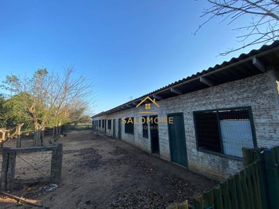 Sítio, 4 quartos, 2 hectares - Foto 5