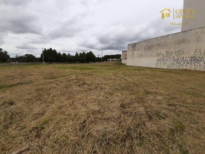 Terreno, 2578 m² - Foto 4