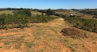 Chácara, 1 quarto, 15 hectares - Foto 2