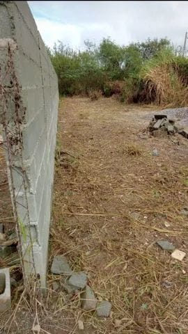 Terreno - Foto 1