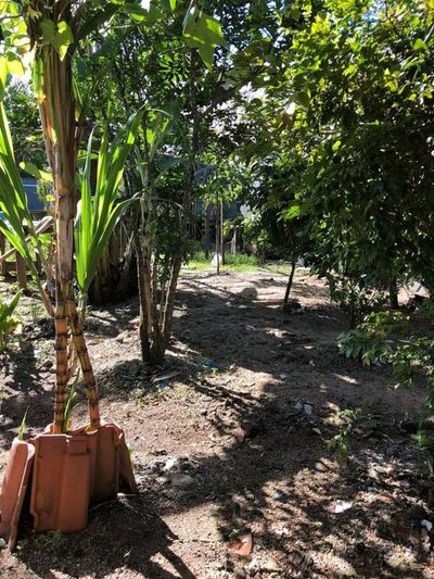Casa, 1 quarto - Foto 4