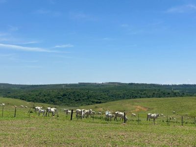 Fazenda, 250 m² - Foto 2