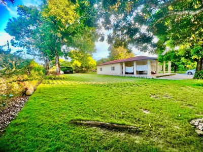 Terreno, 5000 m² - Foto 3