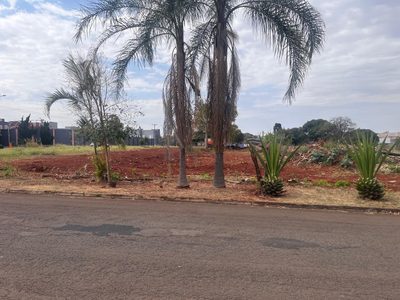 Terreno, 4938 m² - Foto 5