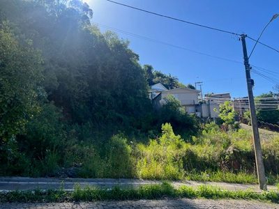Terreno, 300 hectares - Foto 3