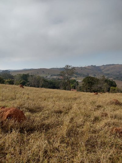 Terreno, 2 hectares - Foto 2