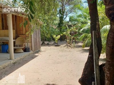 Casa, 6 quartos, 1600 m² - Foto 4