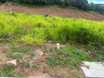 Terreno, 250 m² - Foto 1