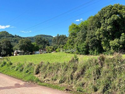 Terreno, 5 hectares - Foto 4