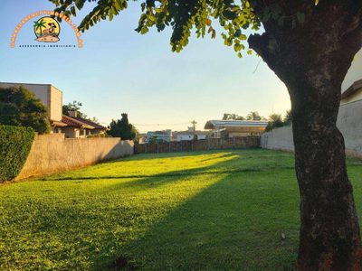 Terreno, 1032 m² - Foto 3