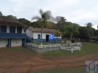 Sítio, 4 quartos, 58 m² - Foto 3